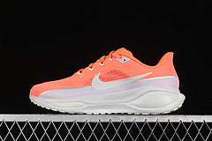 Nike Pegasus 41
