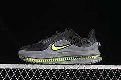 Nike Pegasus Premium