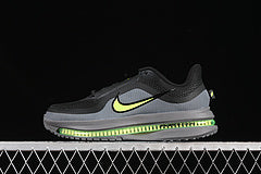 Nike Pegasus Premium