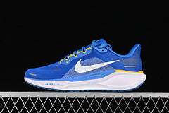 Nike Pegasus 41